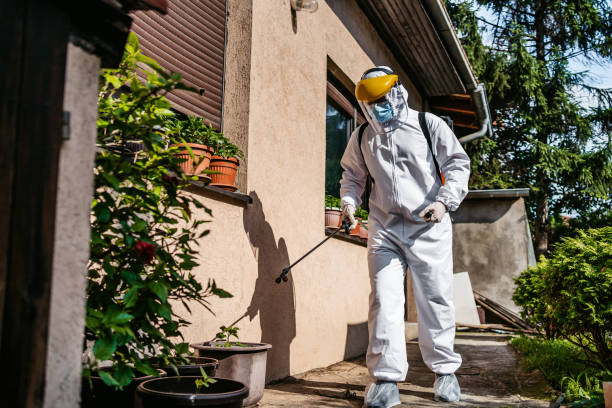 Best Pest Removal Services  in New Athens, IL