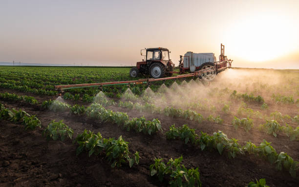 Best Pest Prevention Services  in New Athens, IL