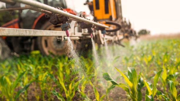 Best Commercial Pest Control Services  in New Athens, IL